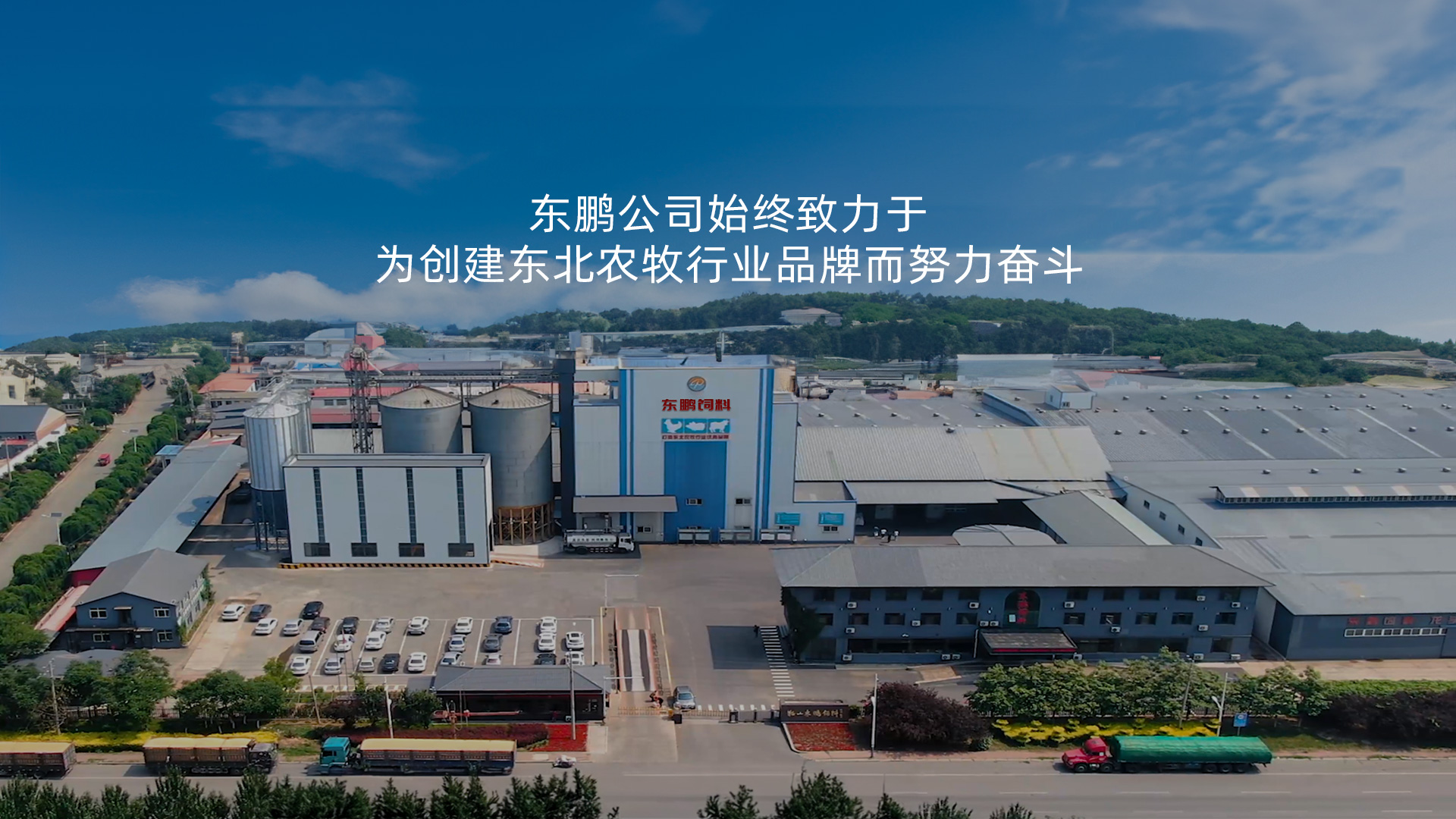 盘锦饲料